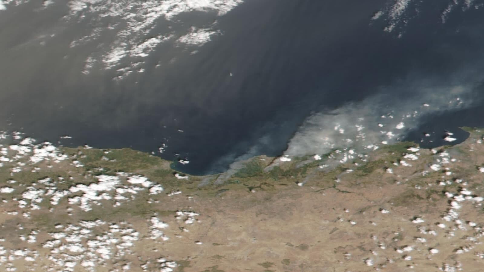 Algeria Wildfires