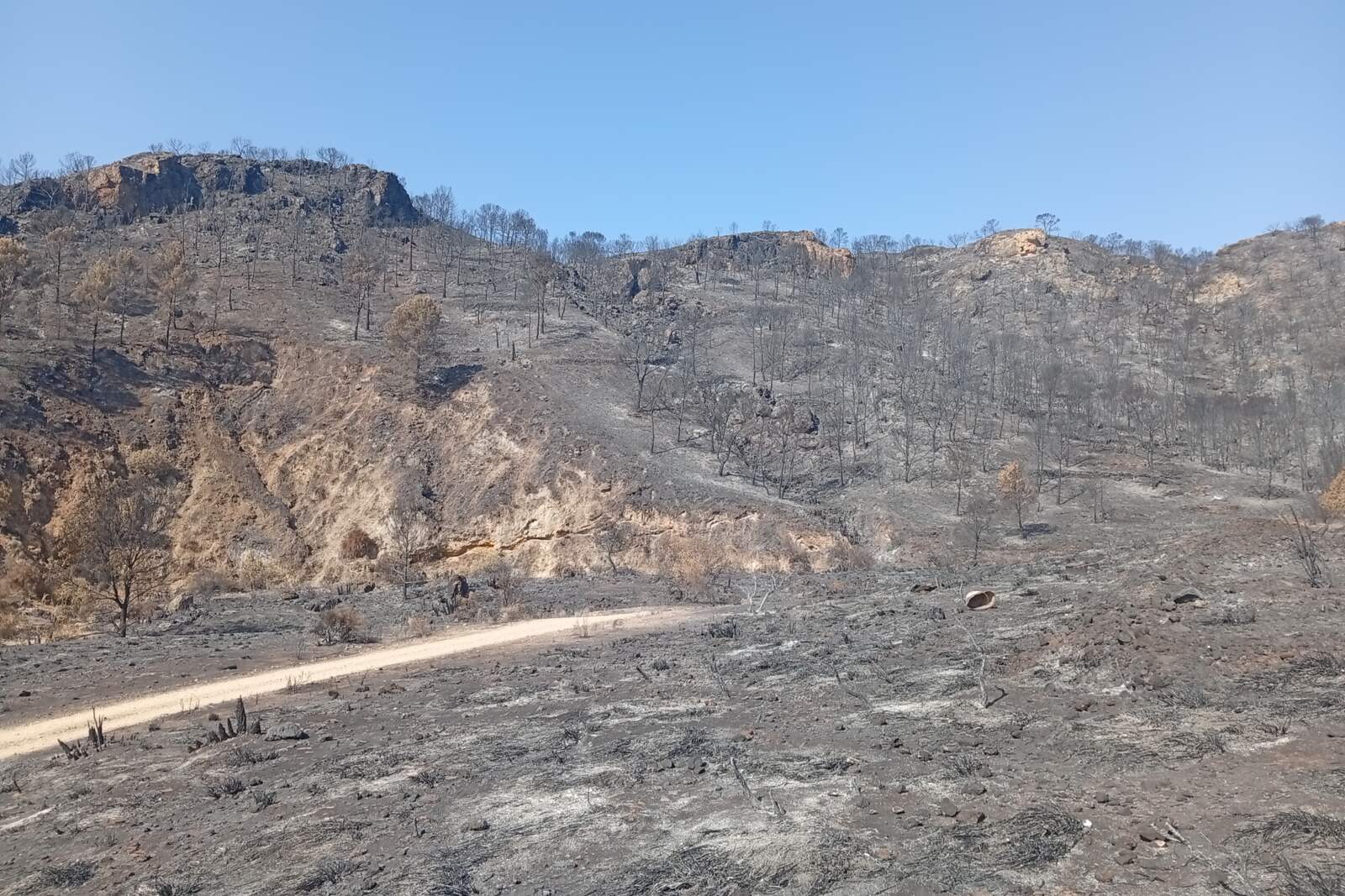 Almería Wildfire