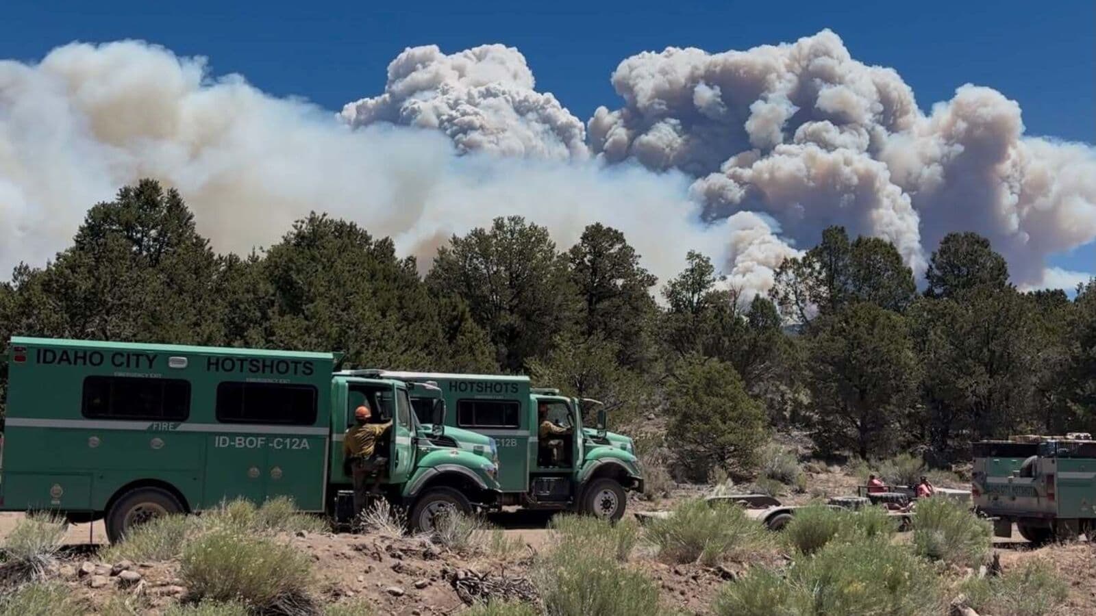 Cottonwood Fire