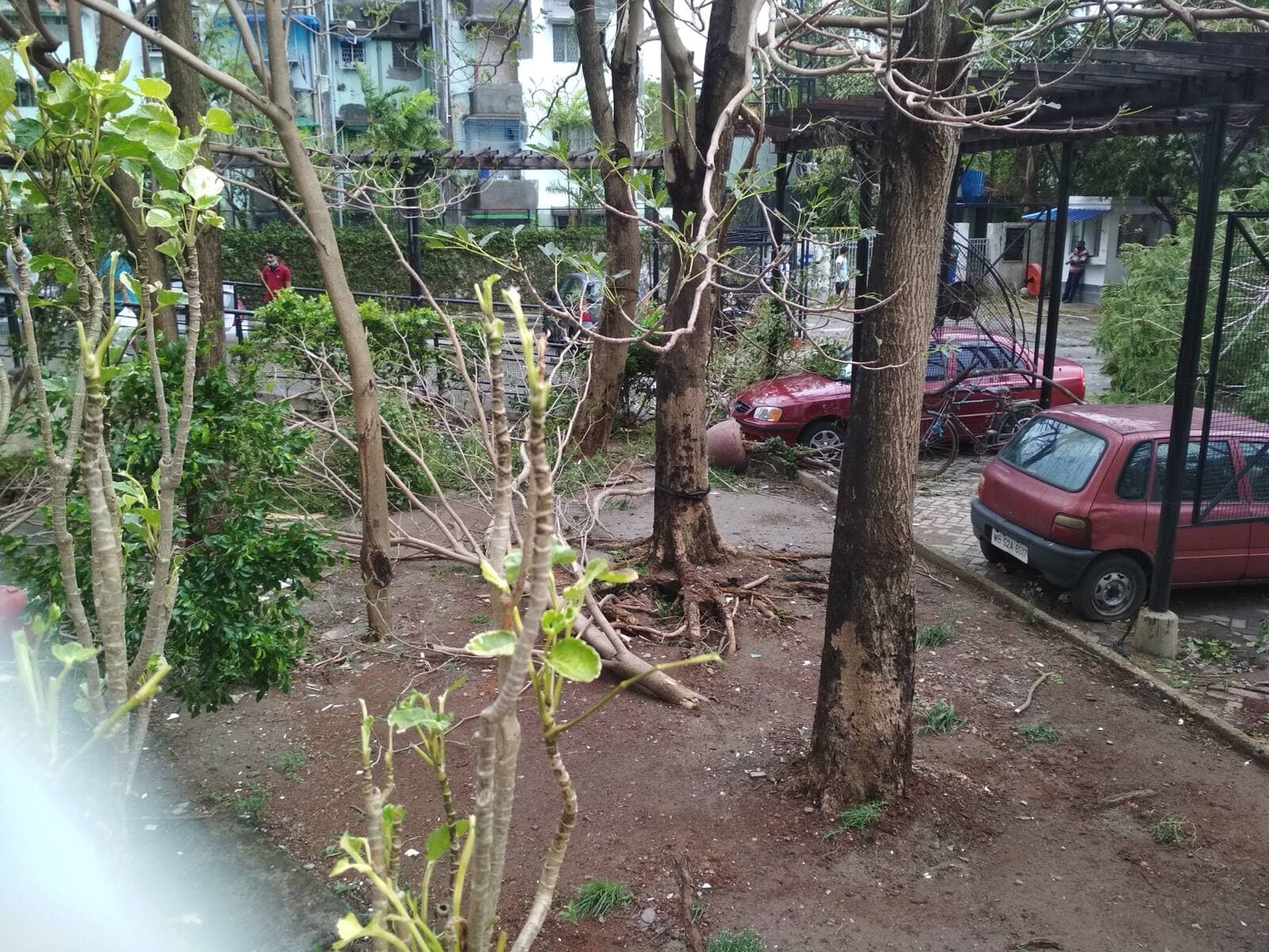 Cyclone Amphan