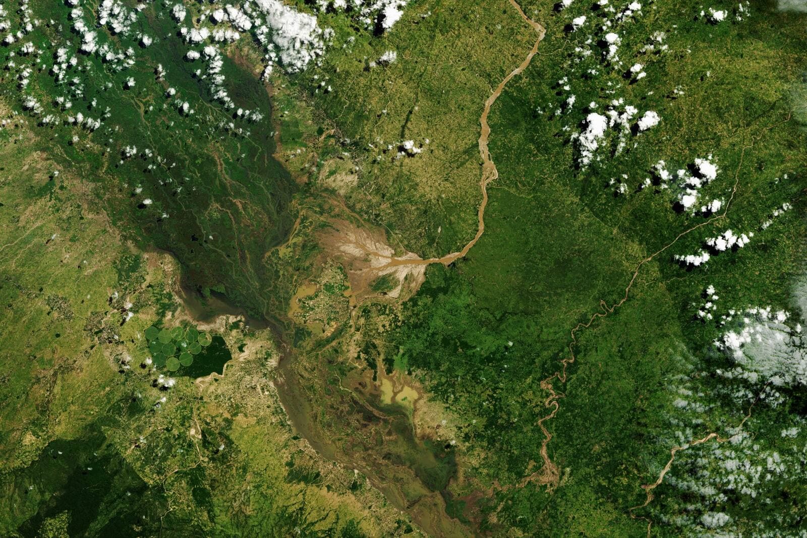 Cyclone Freddy
