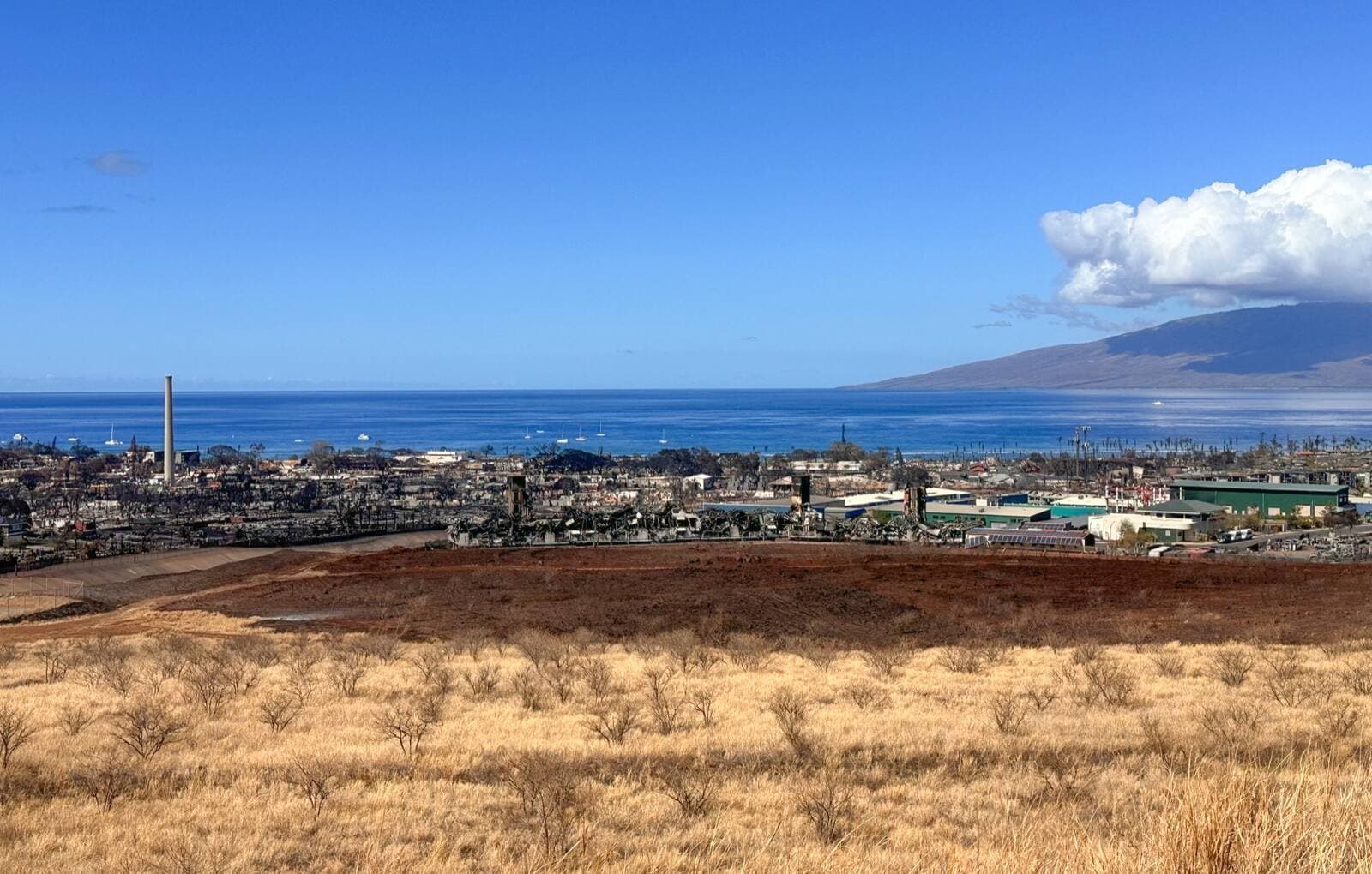 Maui Wildfires
