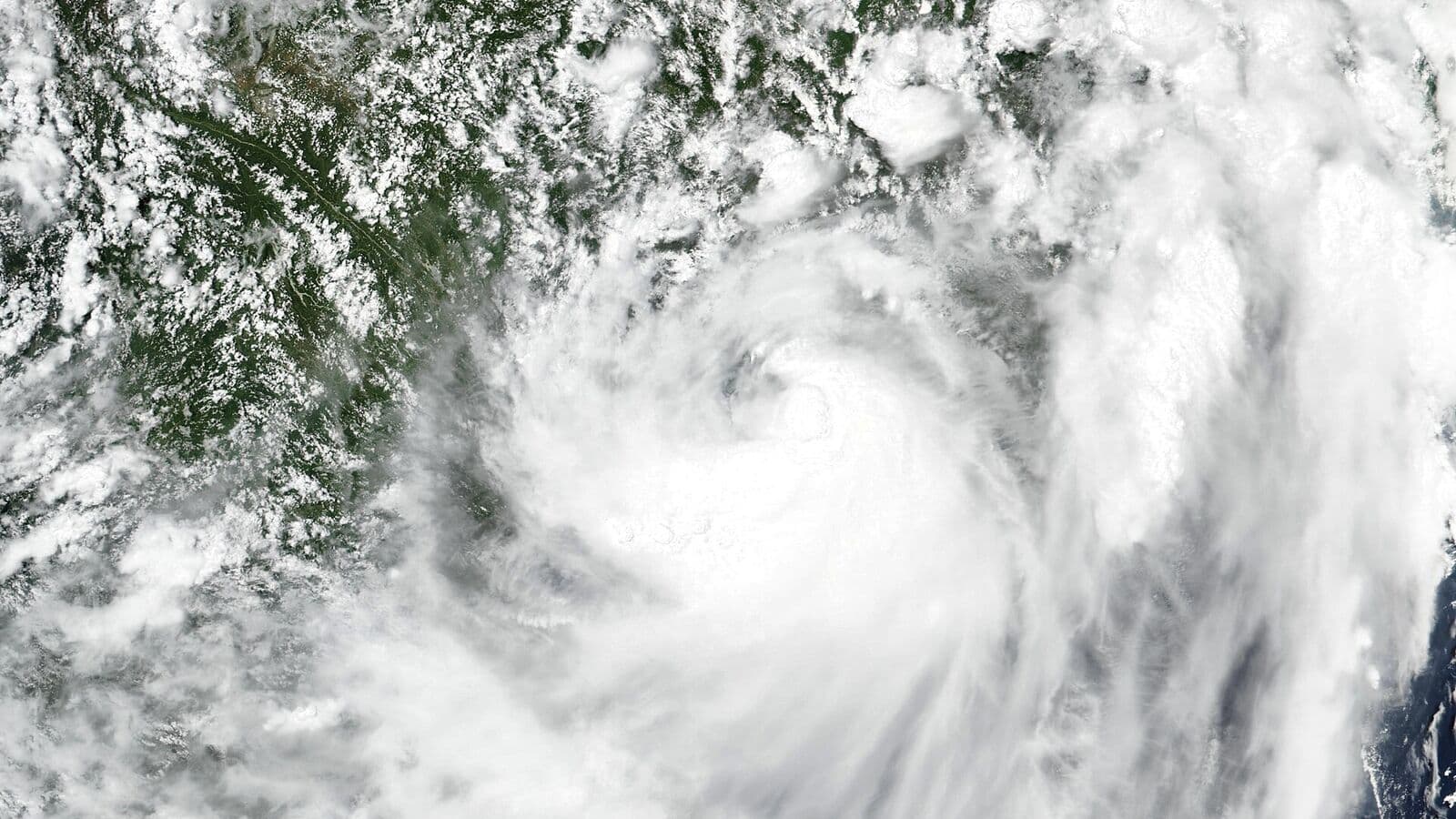 Typhoon Maysak